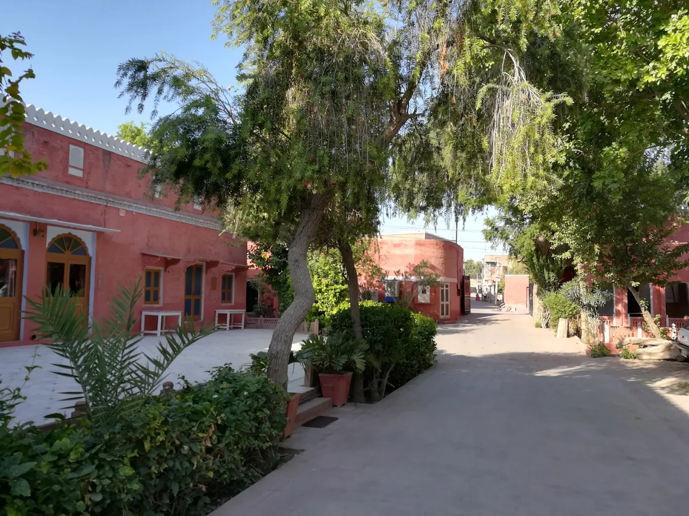 Best view of Hotel Jaswant Bhawan hotel room, amenities, and facilities