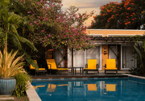 Best view of Hotel The Orchid tree hotel room, amenities, and facilities