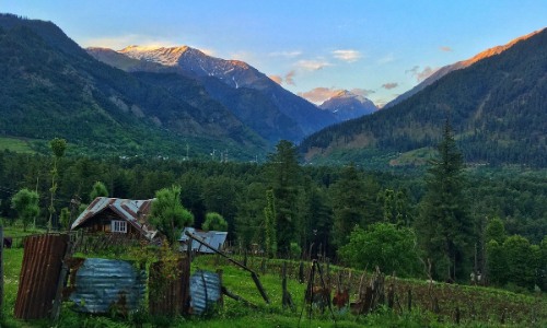 Best view of Freedom Palace hotel room, amenities, and facilities