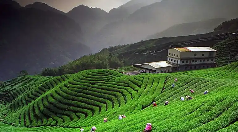 Day 4: Nainital to Ranikhet